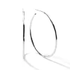 Medium Squiggle Hoop Earrings